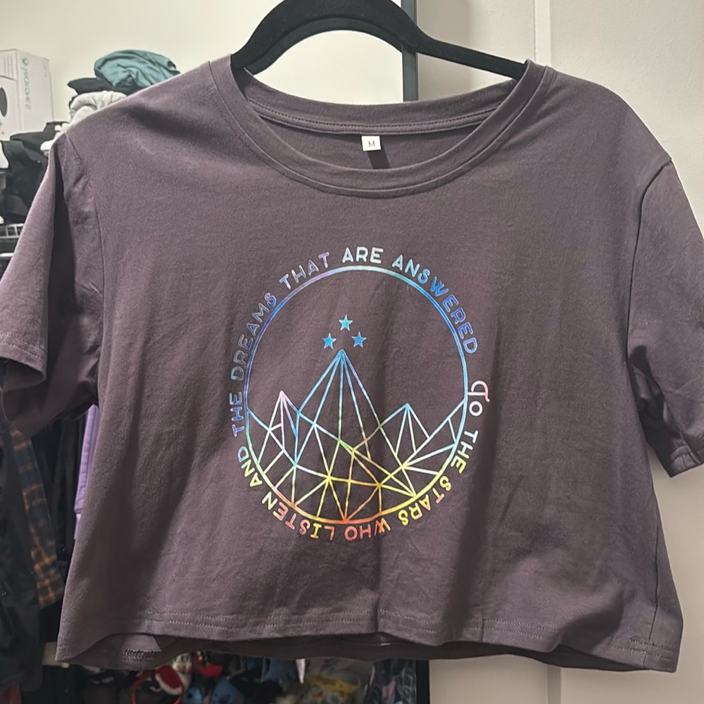 ACOTAR crop top